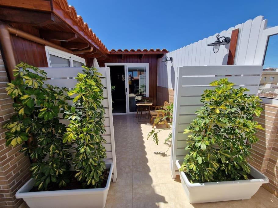 Vintage & Deluxe Apartments Puerto del Rosario  Extérieur photo